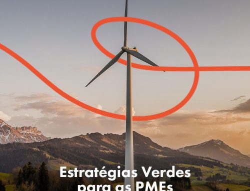 Estratégias Verdes para as PMEs